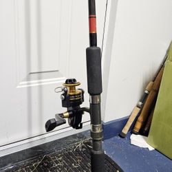 Penn Spinning Reel On A Custom Rod
