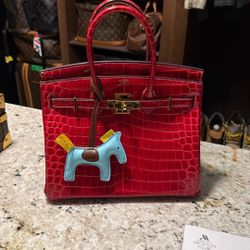 Hermes Birkin 25 Red Croc