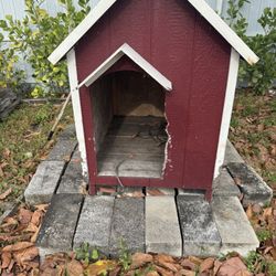Dog House