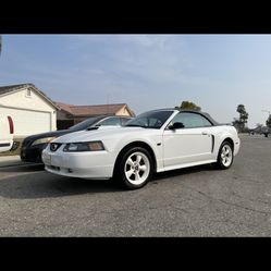 2003 Mustang Gt