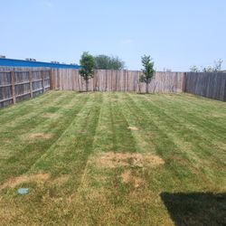 Lawn Mower 