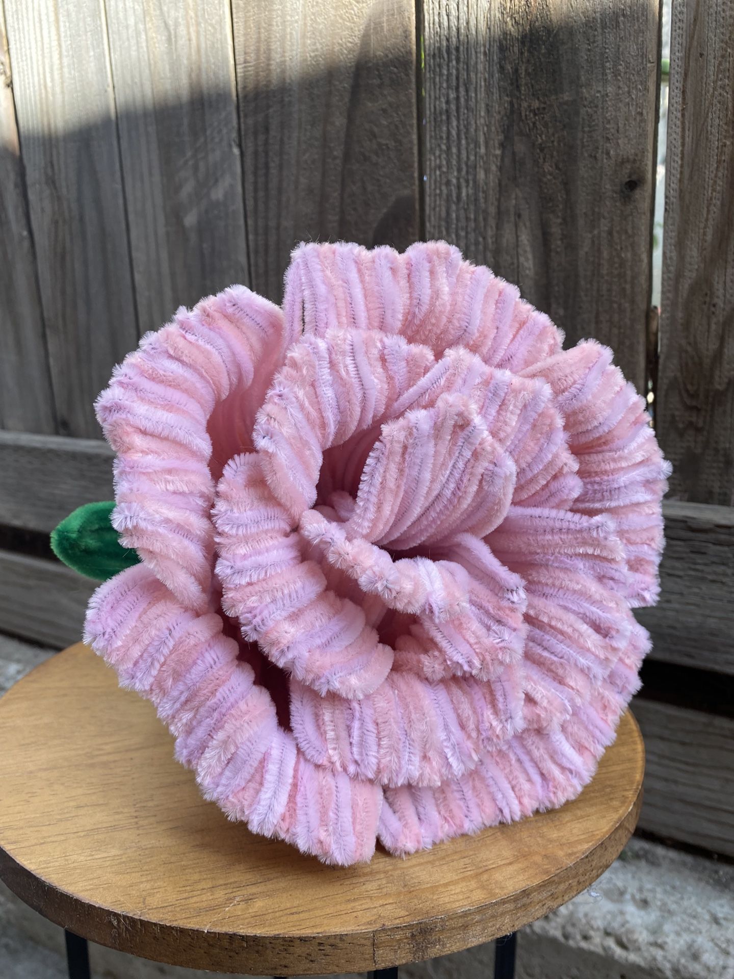 Big Single Rose