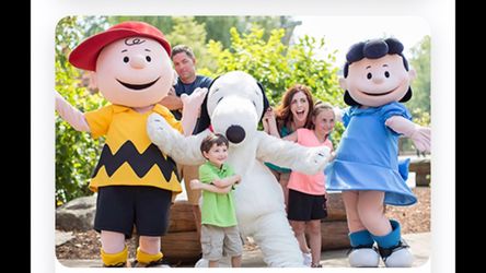 knottsberry farm