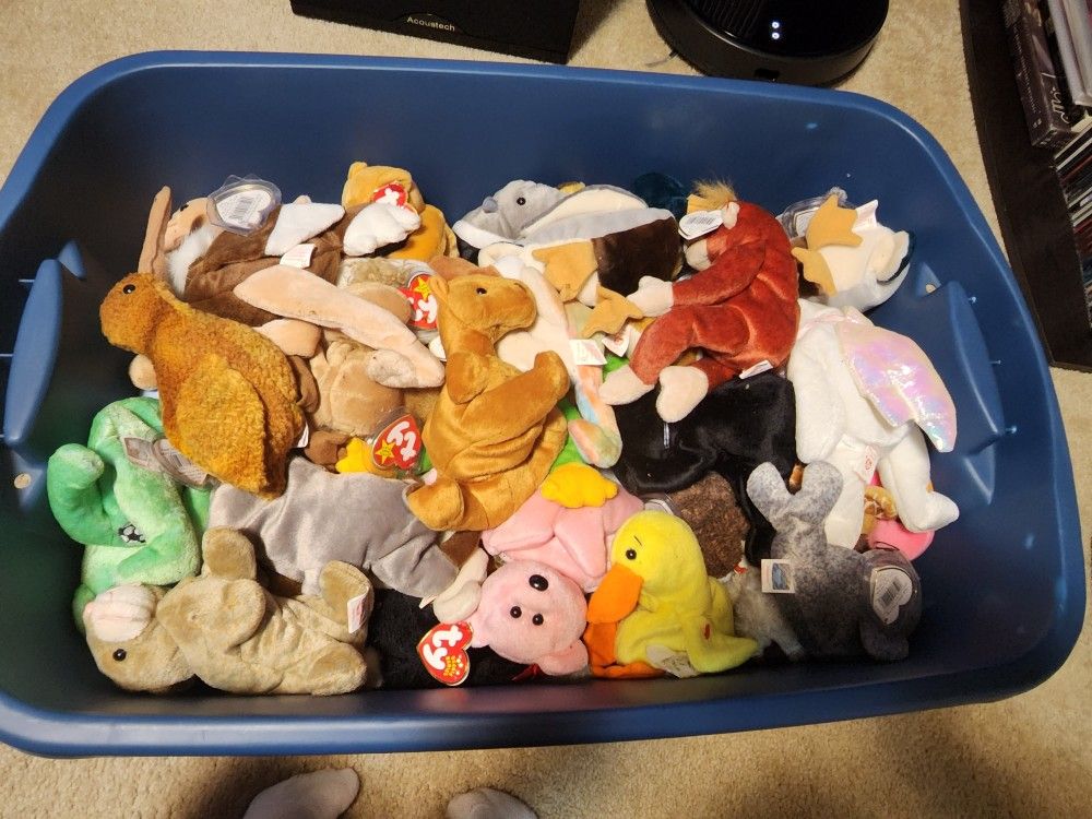 Beanie Babies