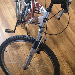 Mountain bike double suspension