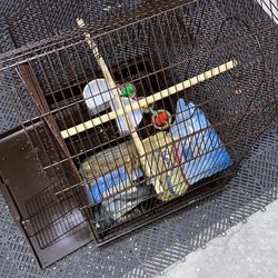 Large Parakeet Cage 