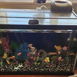 20gal Tank, Supplies & Decorations 