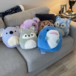 Squish Mellow Collection