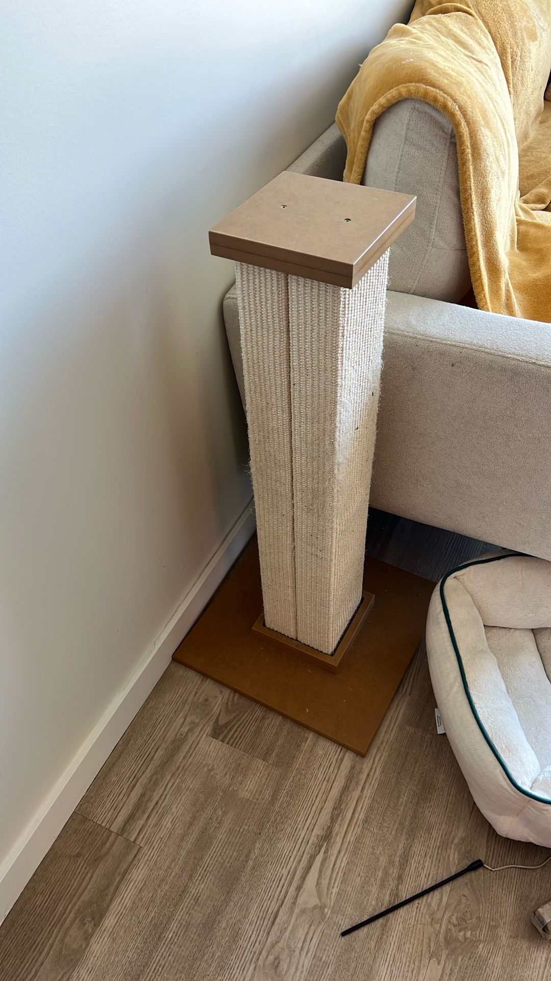 Large Cat Scratcher 