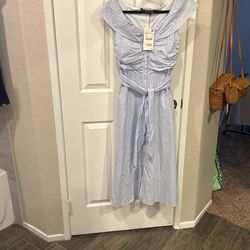 Xs Zara Dress. Never Been Worn