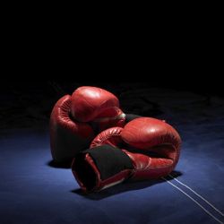 Personal Boxing coach