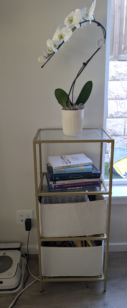 Gold & Glass 4-Tier Bookshelves – $60 OBO  for Set of 2