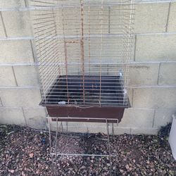 Bird Cage