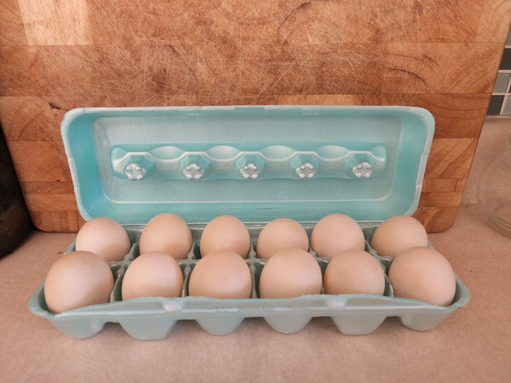 DUCK EGGS 🥚