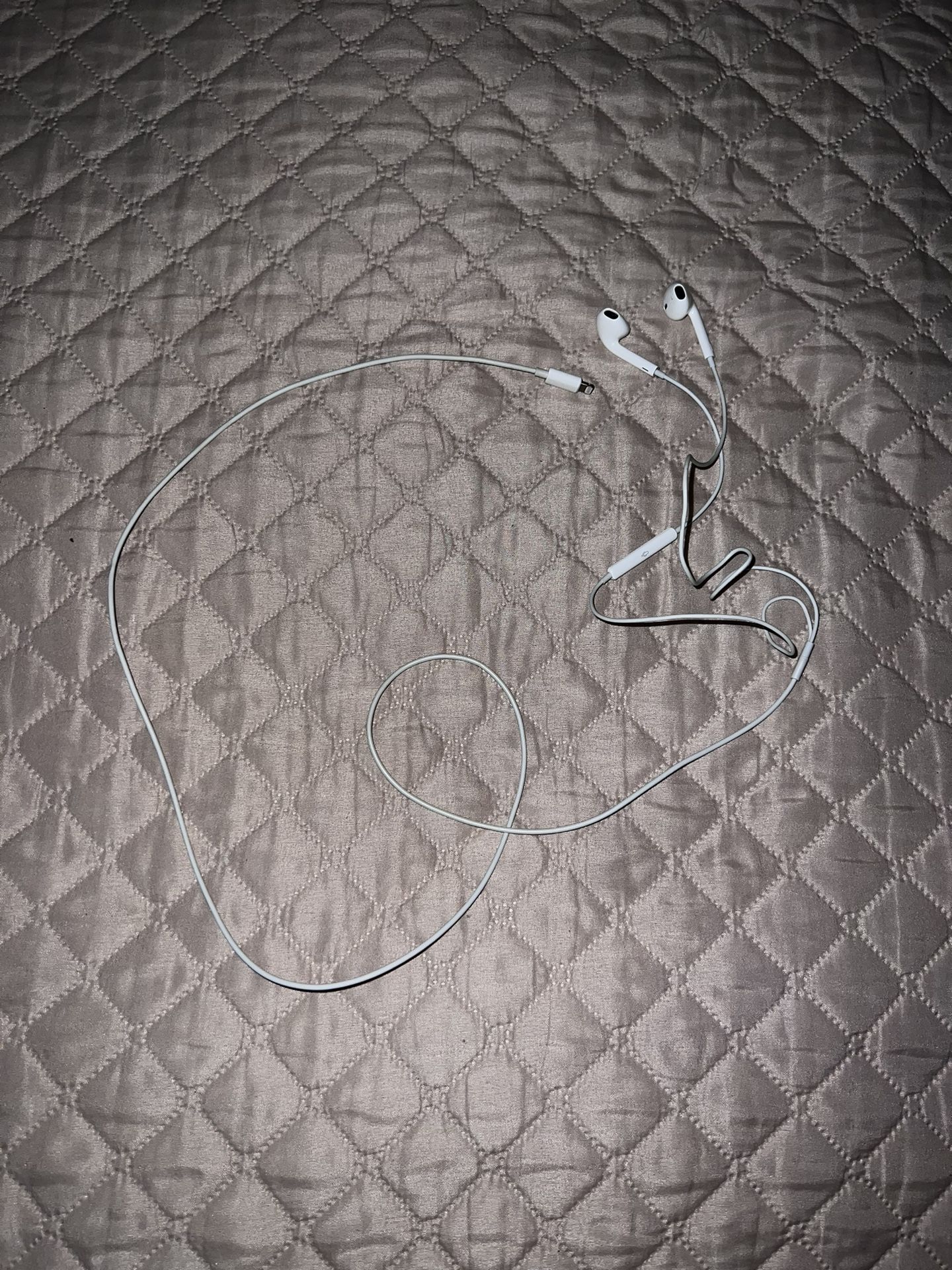 Apple earphones 