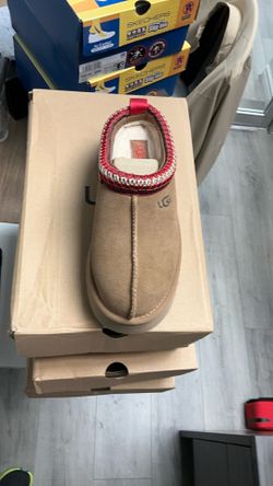 UGG W TAZZ Che