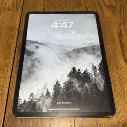 Apple iPad Pro 11" 1st Gen 64 GB Wi-Fi Space Gray