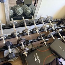 Free Joe weider weights