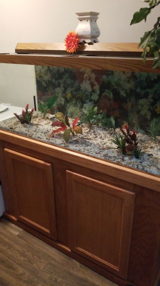 Best 9 Cleaning A Used Fish Tank Reviews And Buying Guide in 2023