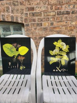 Glass covered art - two pieces