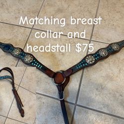 Miscellaneous Horse Tack