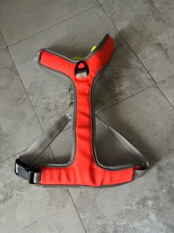 Red Dog Harness with Gray Straps