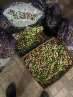 Guamúchiles￼