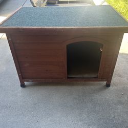 Dog House 