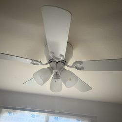 Ceiling Fan 