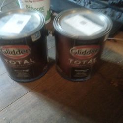 2 Gallon Black Walnut New