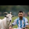 Jonathan  Orellana 