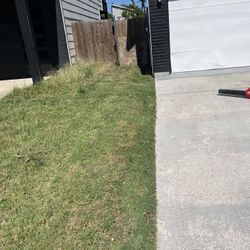 Cut Grass 