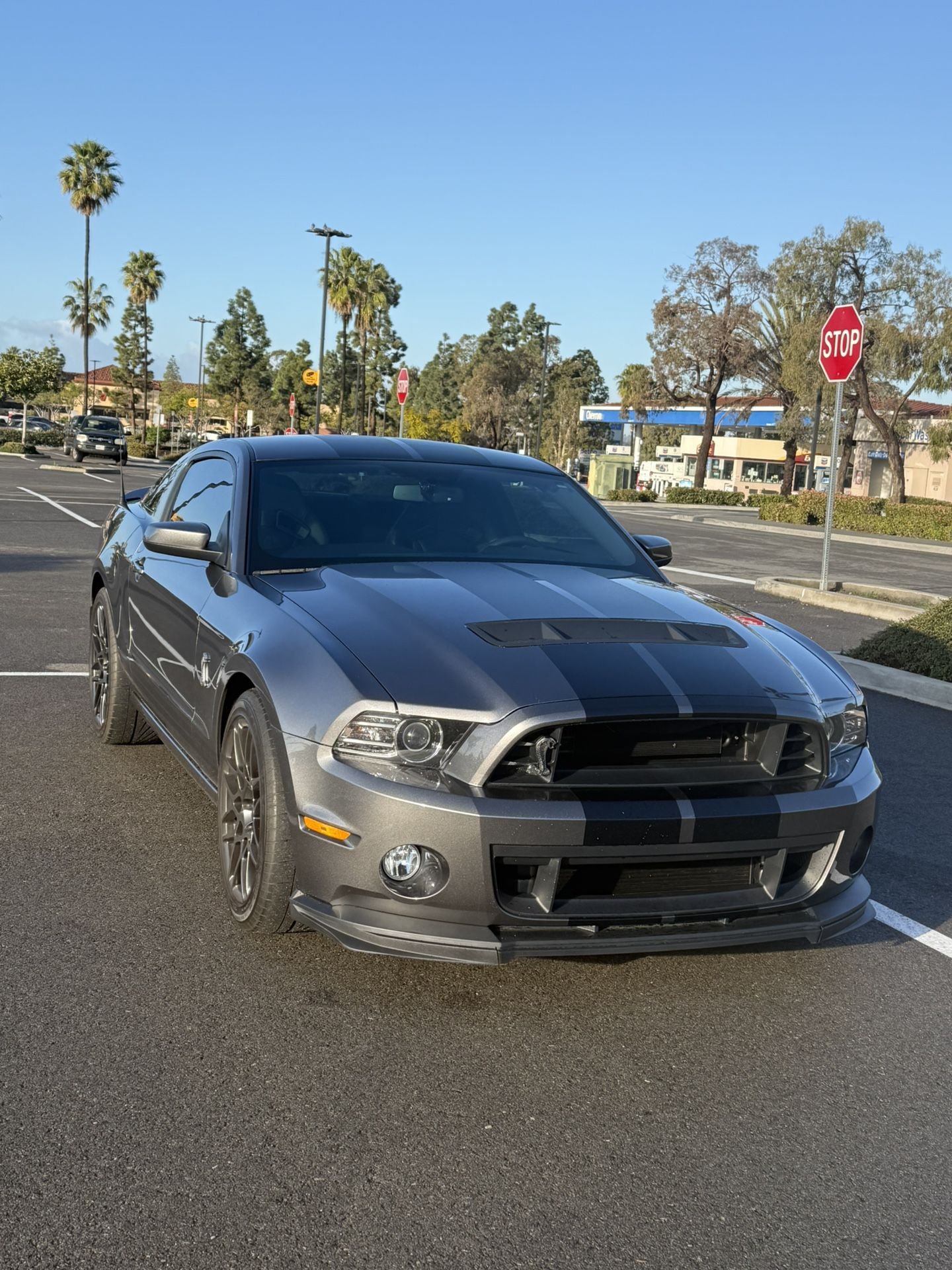 2014 Ford Shelby Gt500