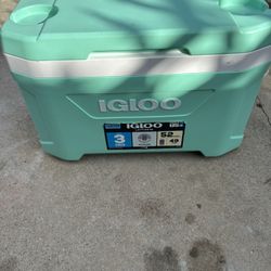 IGLOO Cooler