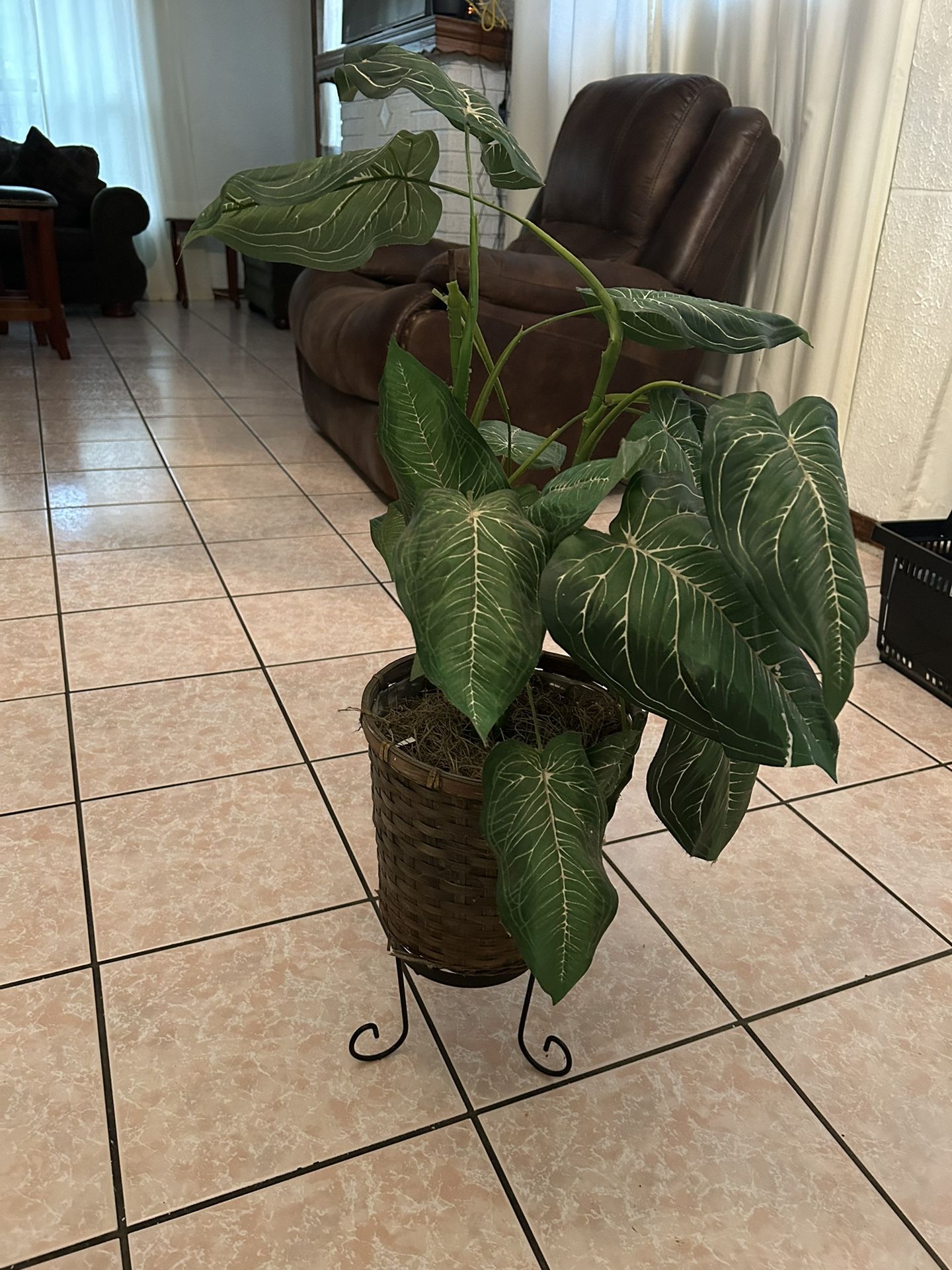 Fake Plant