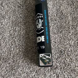 Oakland Raiders Desk Pad