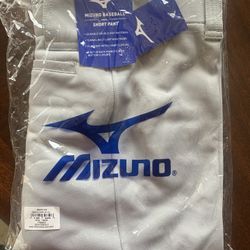 Mizuno Baseball Short Pant 