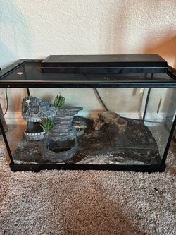 Reptile tank