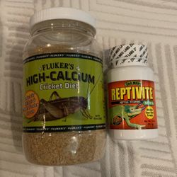 Reptile Accessories