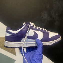 Nike championship dunks