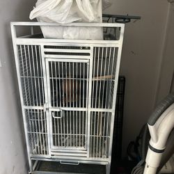5ft Bird Cage Comes With Extra Stuff For The Bird