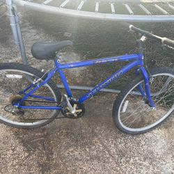 Schwinn Frontier Mountain Bike