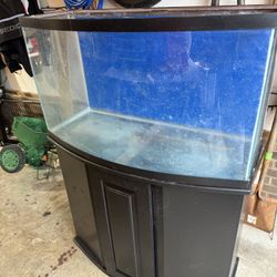 Fish tank/ aquarium 