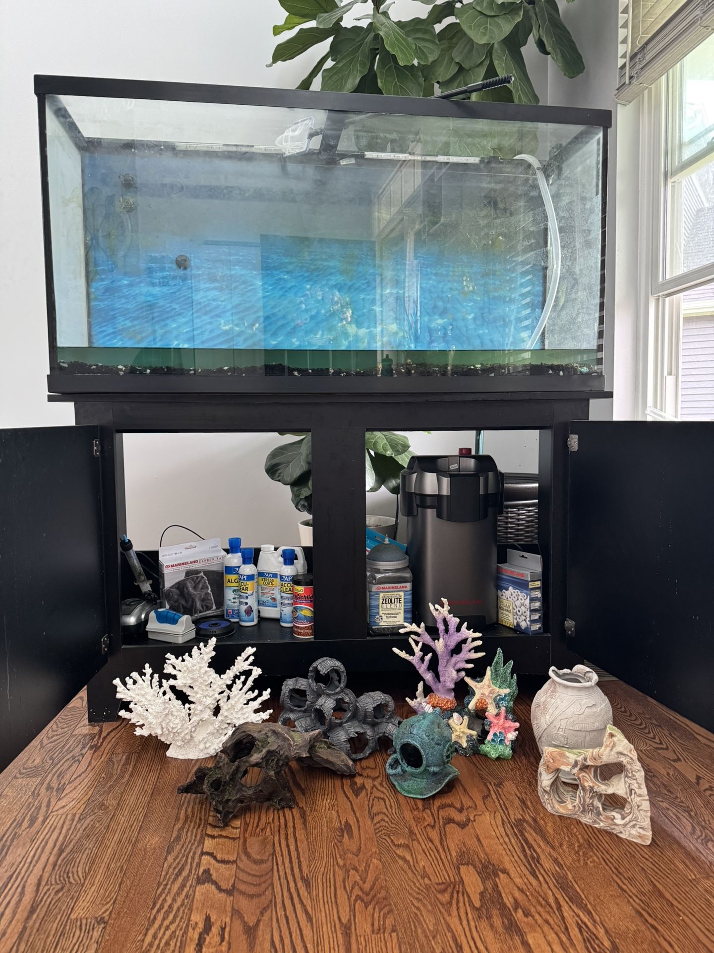 Fish Tank