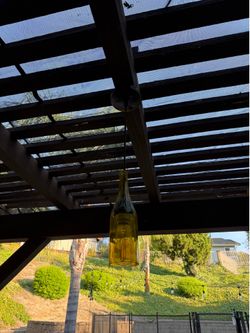 Hanging wine bottle lights