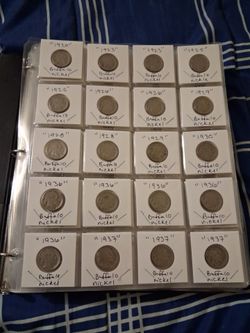 20 Buffalo nickels