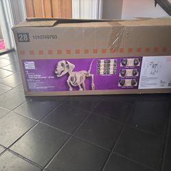 7 foot skelly dog