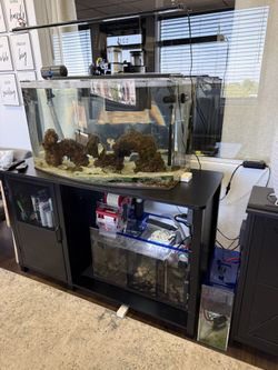 Bow Front Fish Tank Plus Accessories