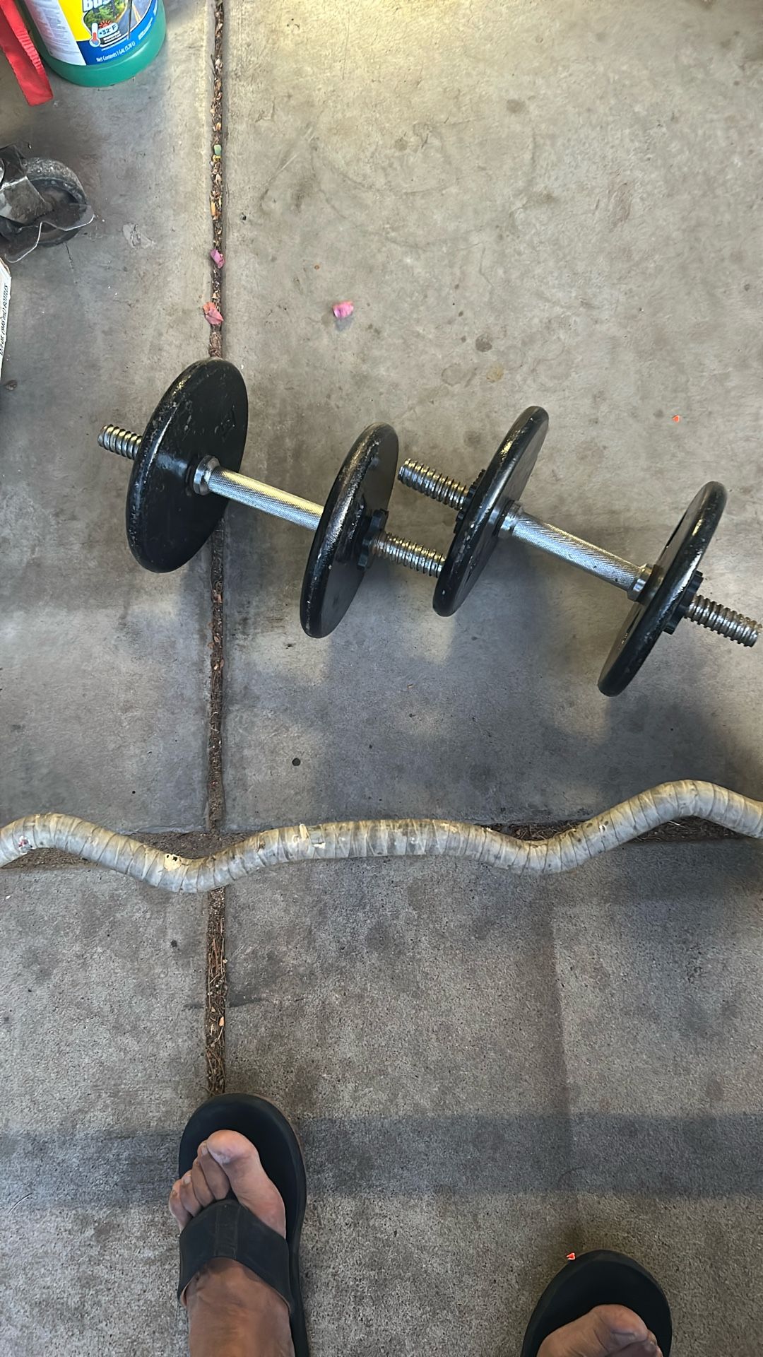 Curl bar, dumbell and weights