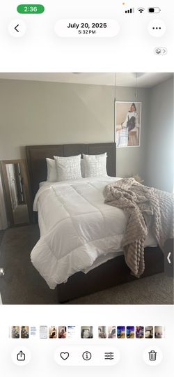 Queen Bed